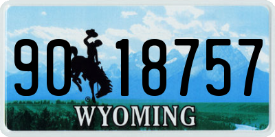 WY license plate 9018757