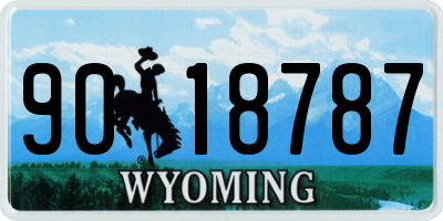 WY license plate 9018787