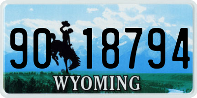 WY license plate 9018794