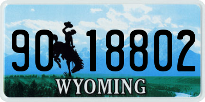 WY license plate 9018802