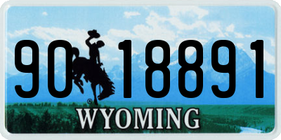 WY license plate 9018891