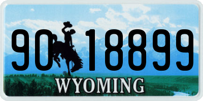 WY license plate 9018899