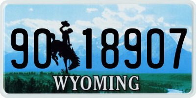 WY license plate 9018907