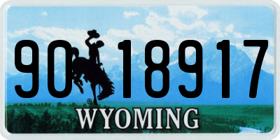 WY license plate 9018917