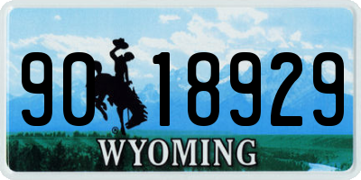 WY license plate 9018929