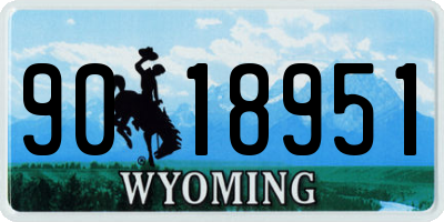 WY license plate 9018951