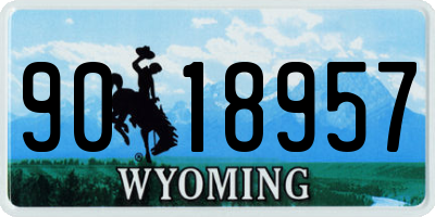 WY license plate 9018957
