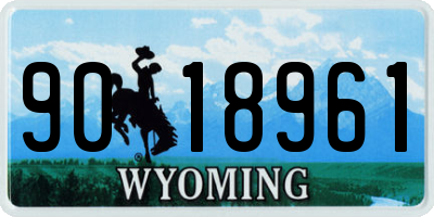WY license plate 9018961