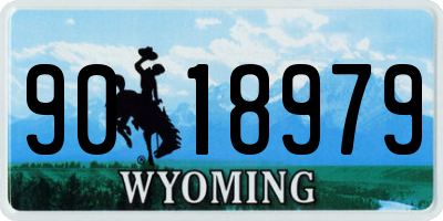 WY license plate 9018979