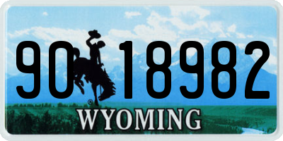 WY license plate 9018982