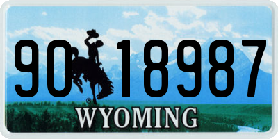 WY license plate 9018987
