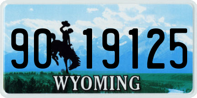 WY license plate 9019125