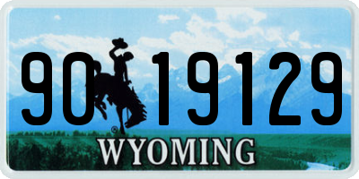 WY license plate 9019129