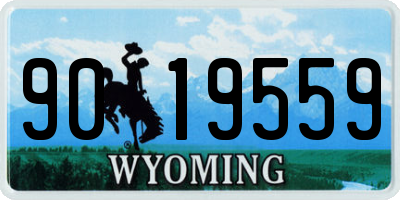 WY license plate 9019559