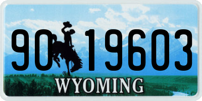 WY license plate 9019603