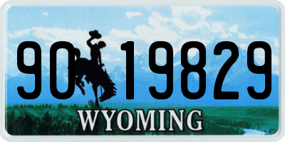WY license plate 9019829