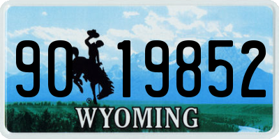 WY license plate 9019852