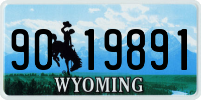 WY license plate 9019891