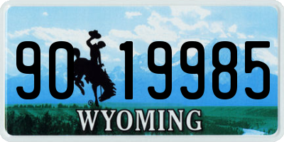 WY license plate 9019985