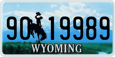 WY license plate 9019989