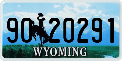WY license plate 9020291