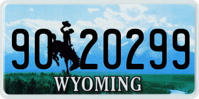 WY license plate 9020299