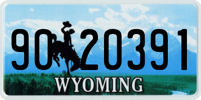 WY license plate 9020391