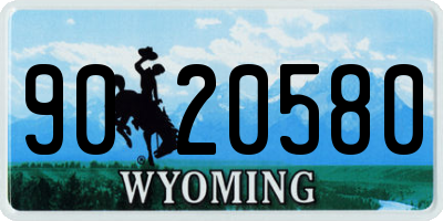 WY license plate 9020580