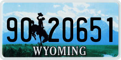 WY license plate 9020651