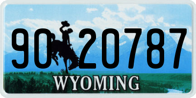 WY license plate 9020787