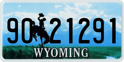WY license plate 9021291
