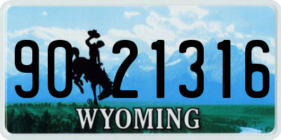 WY license plate 9021316