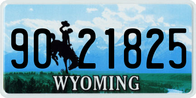 WY license plate 9021825