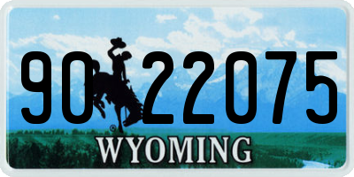 WY license plate 9022075