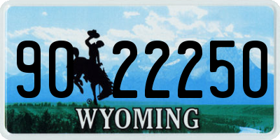 WY license plate 9022250