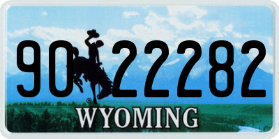 WY license plate 9022282