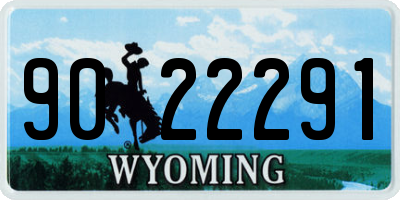 WY license plate 9022291