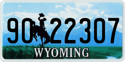 WY license plate 9022307