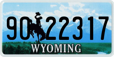 WY license plate 9022317