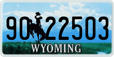 WY license plate 9022503