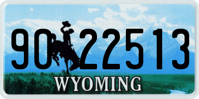 WY license plate 9022513