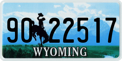 WY license plate 9022517