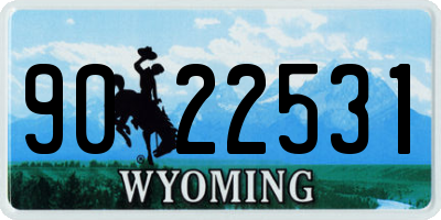 WY license plate 9022531