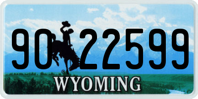WY license plate 9022599