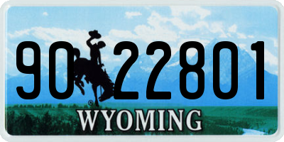 WY license plate 9022801