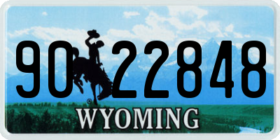 WY license plate 9022848