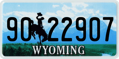WY license plate 9022907