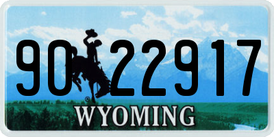 WY license plate 9022917
