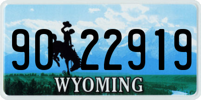 WY license plate 9022919