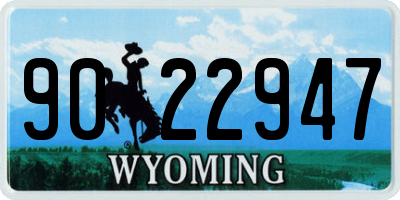 WY license plate 9022947